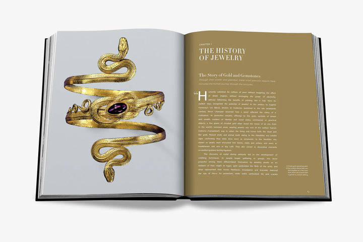 Book - Jewelry Guide: The Ultimate Compendium