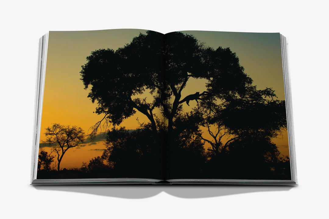 Book - Londolozi: The Safari that Changed Everything