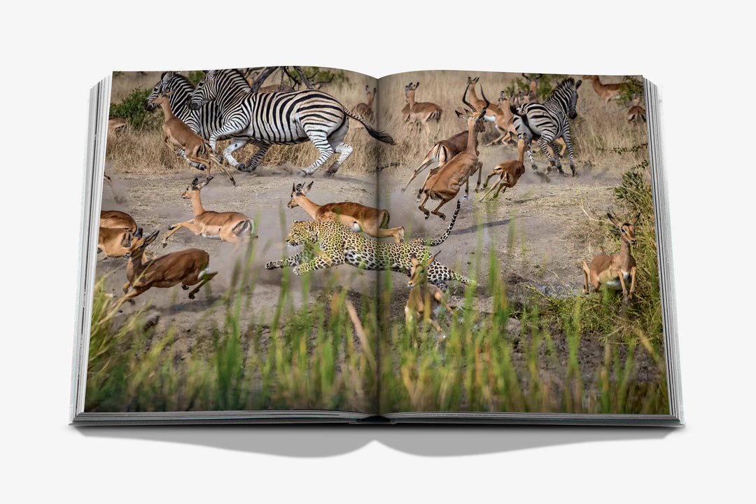 Book - Londolozi: The Safari that Changed Everything