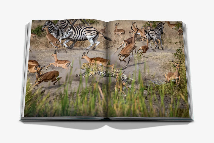 Book - Londolozi: The Safari that Changed Everything