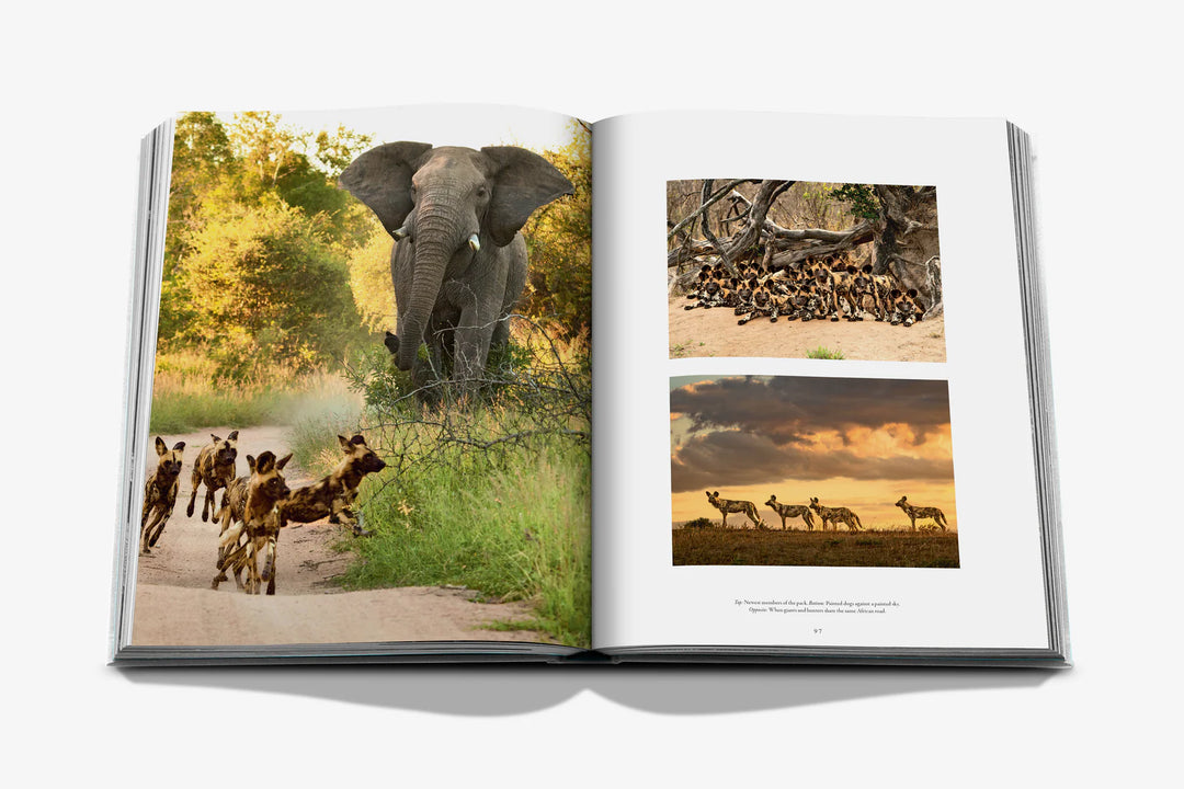 Book - Londolozi: The Safari that Changed Everything