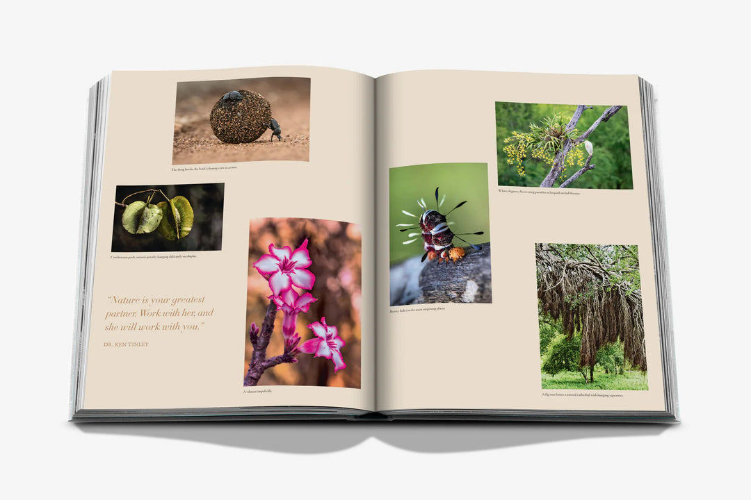 Book - Londolozi: The Safari that Changed Everything