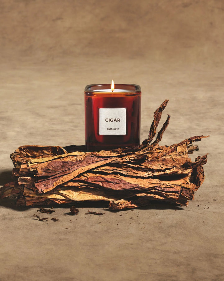 Library Candle - Cigar