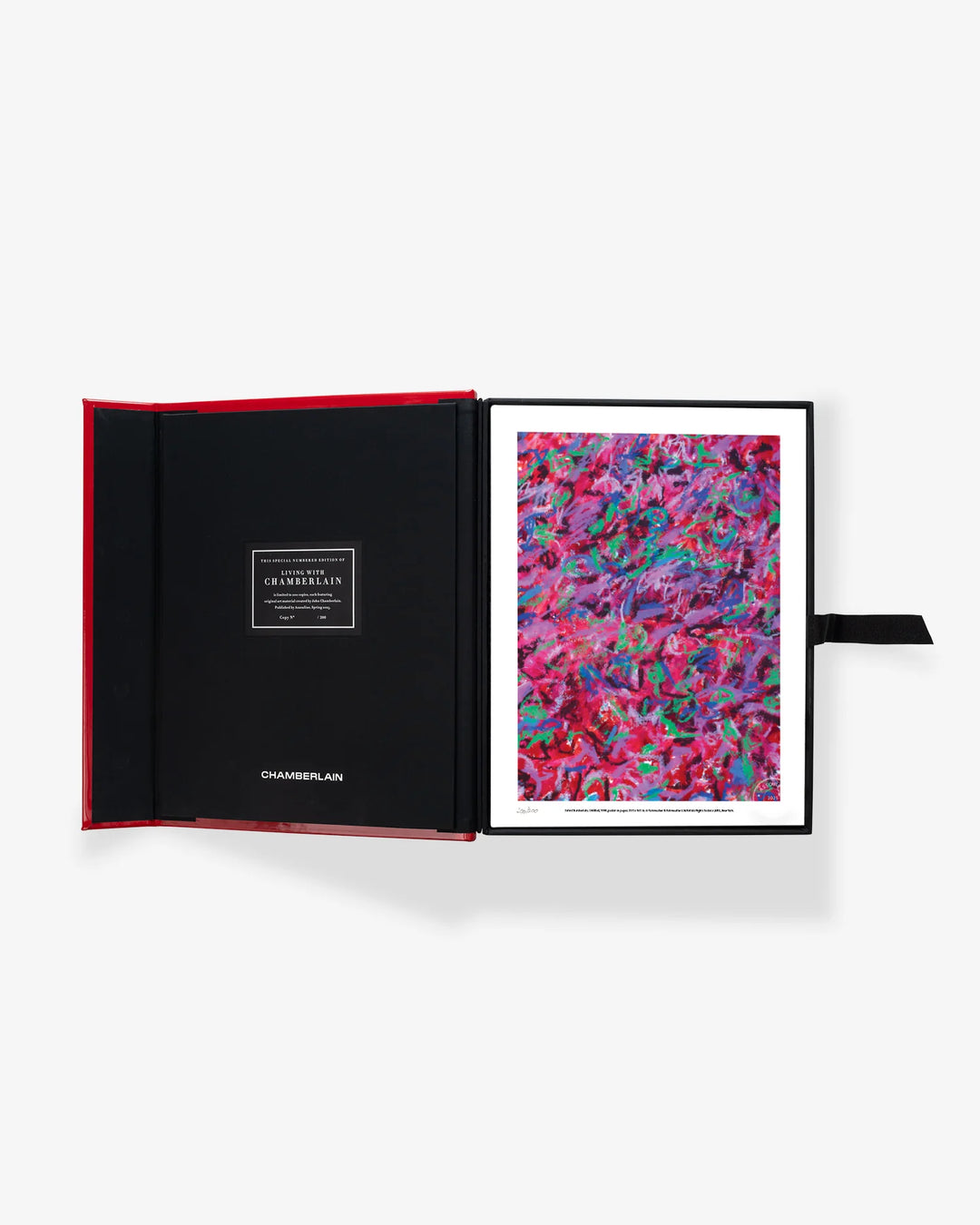 Book - Living with Chamberlain, Art in Residence (Special Edition)