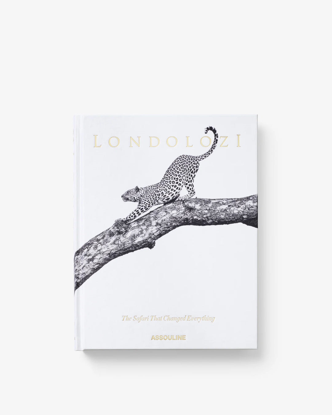 Book - Londolozi: The Safari that Changed Everything