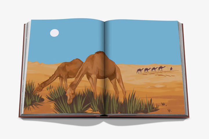 Book - Mleiha: Ancient Treasures of the UAE