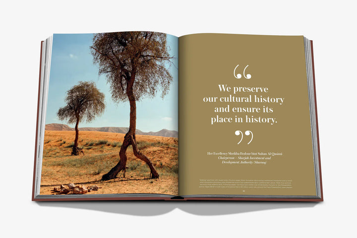 Book - Mleiha: Ancient Treasures of the UAE