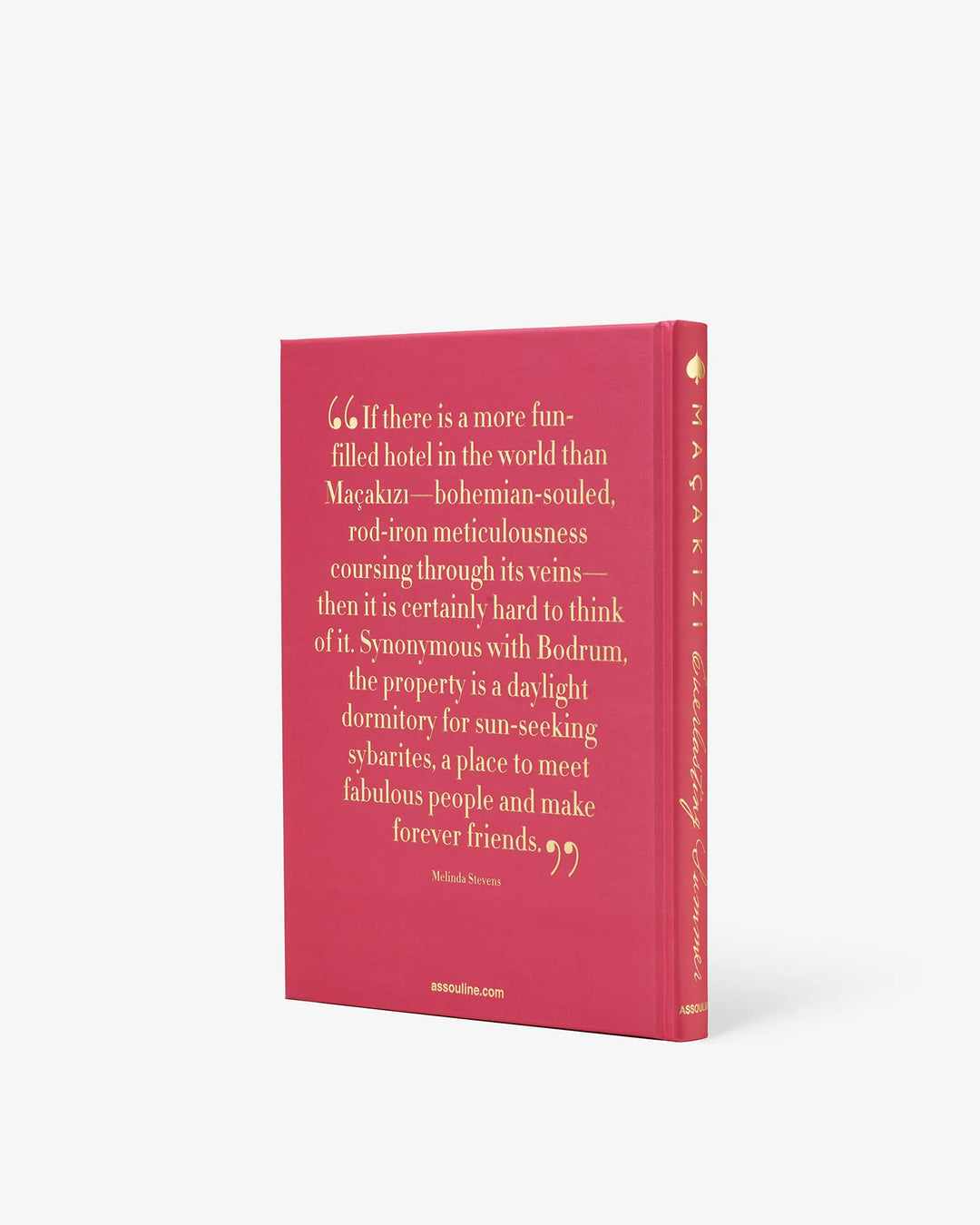 Book - Maçakizi: Everlasting Summer
