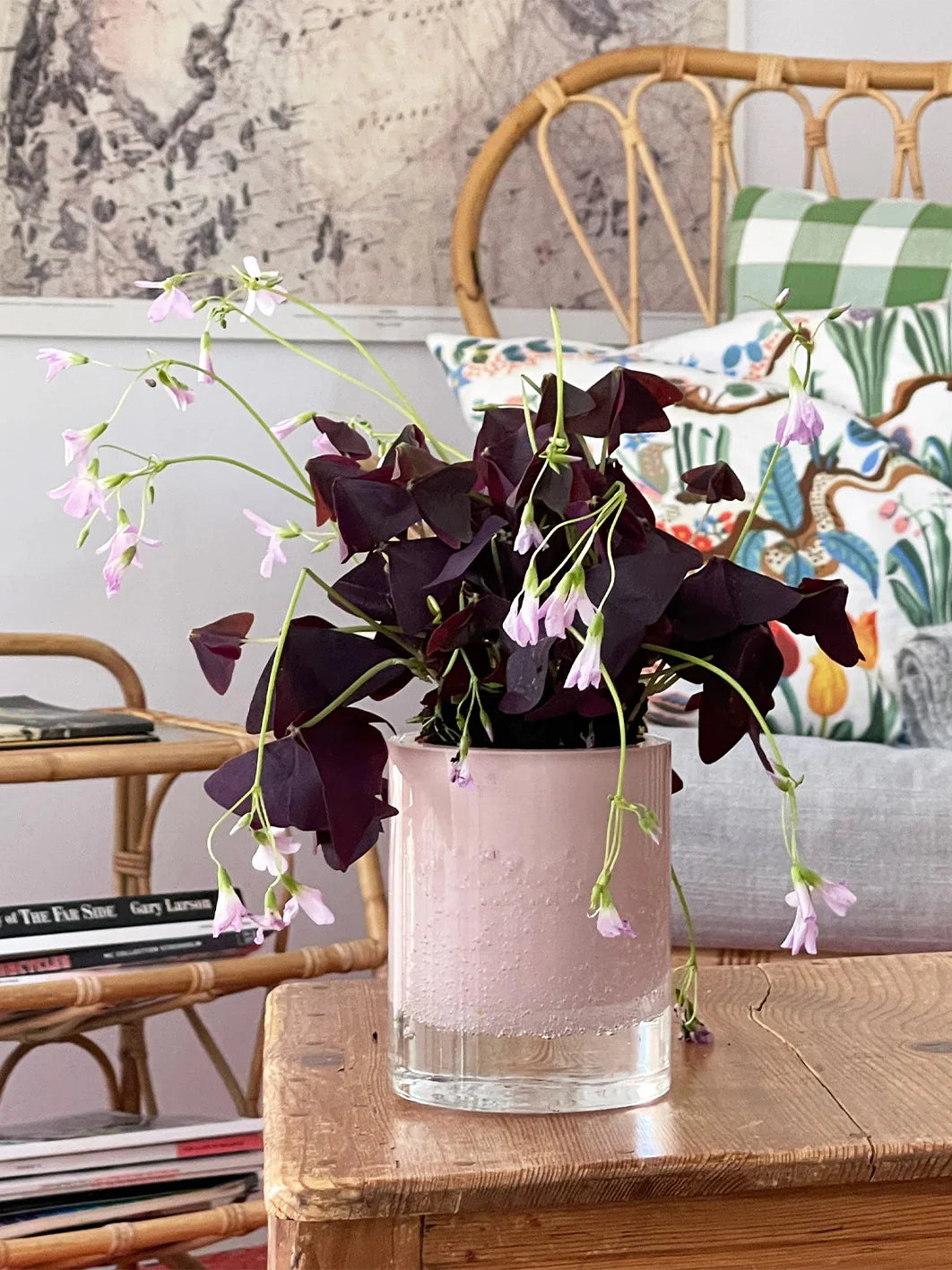 Hurricane - Lamp Soda - Pink
