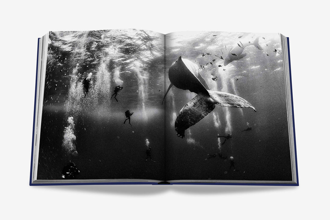 Book - Ocean Wanderlust