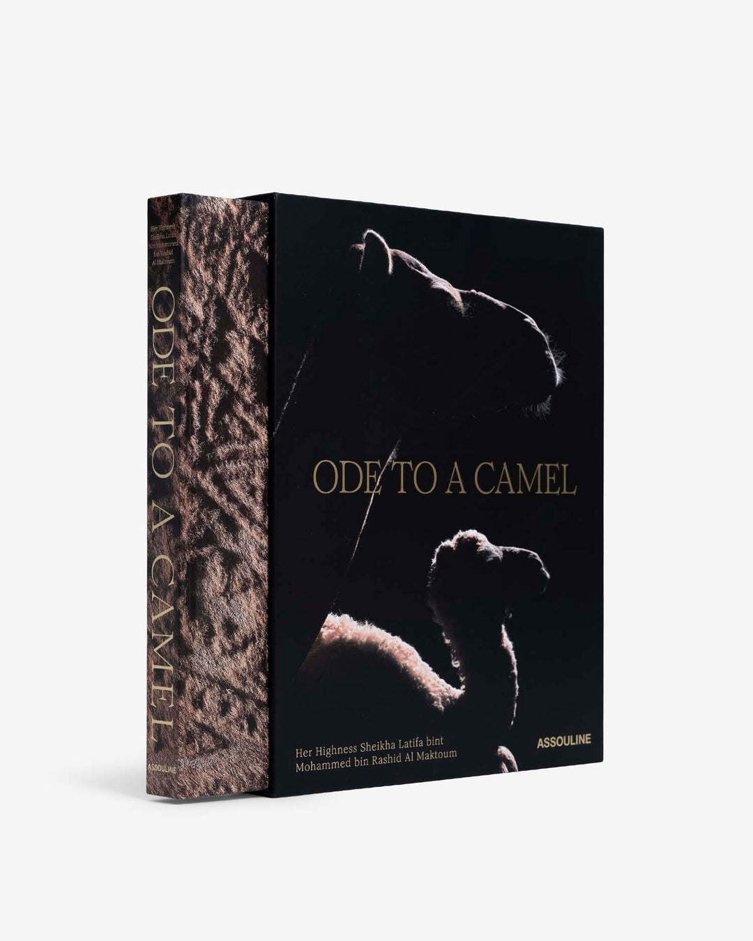 Book - Ode to a Camel