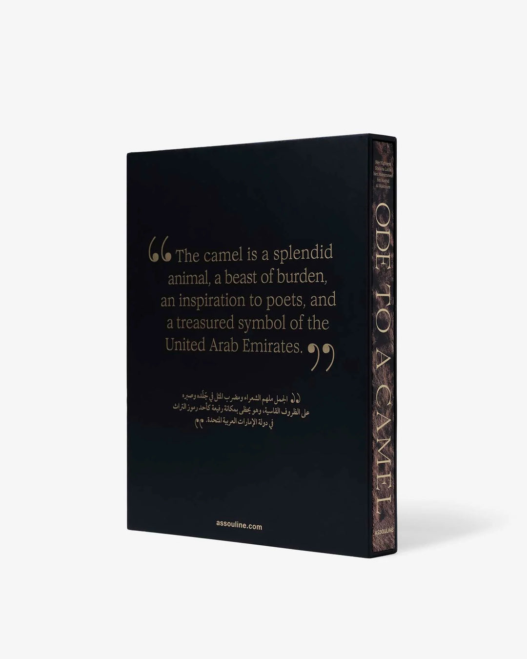 Book - Ode to a Camel