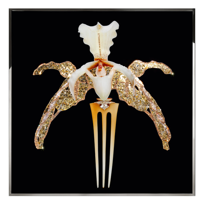 Art - Orchidea Lalique