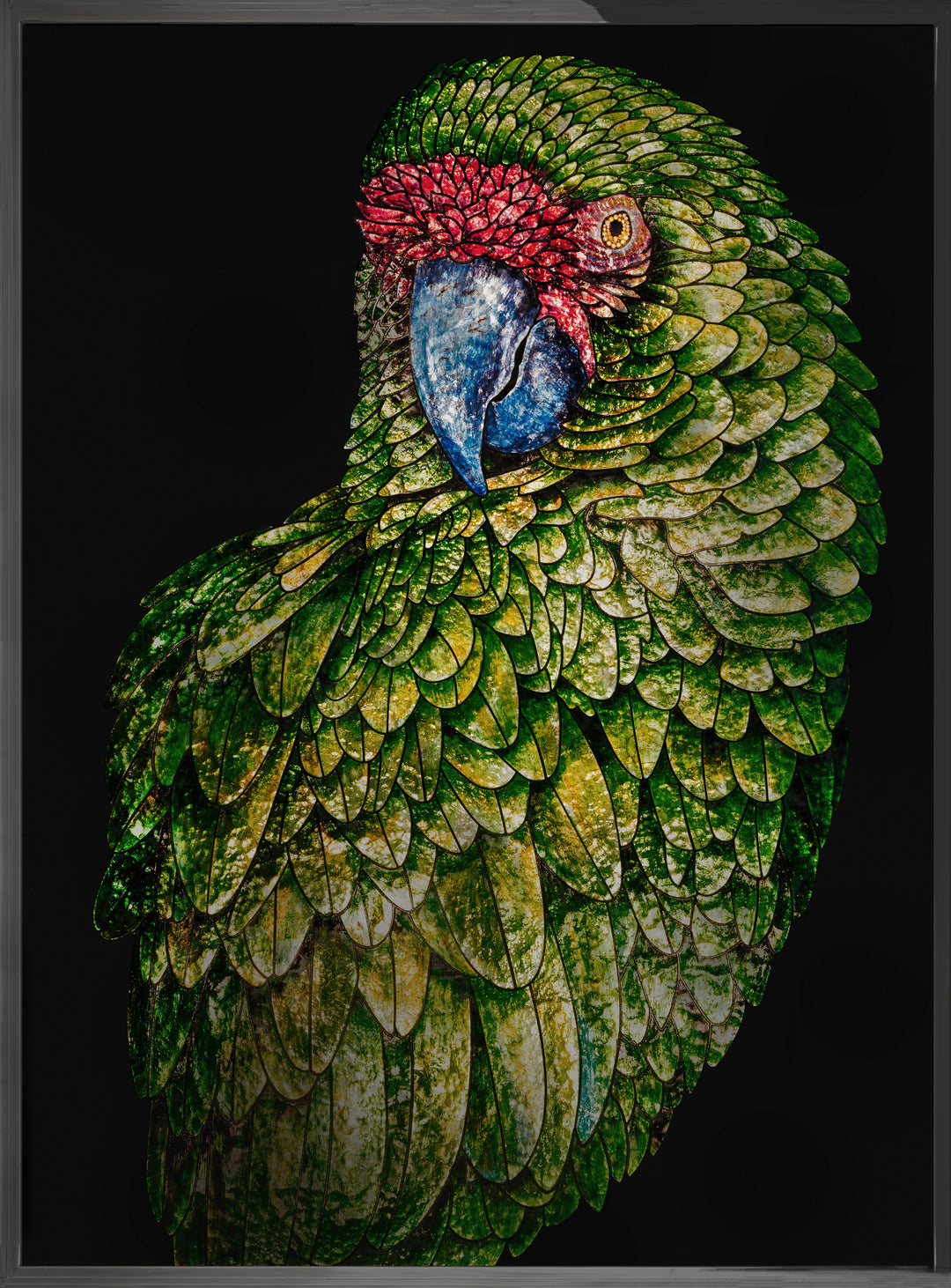 Art - Parrot Fred
