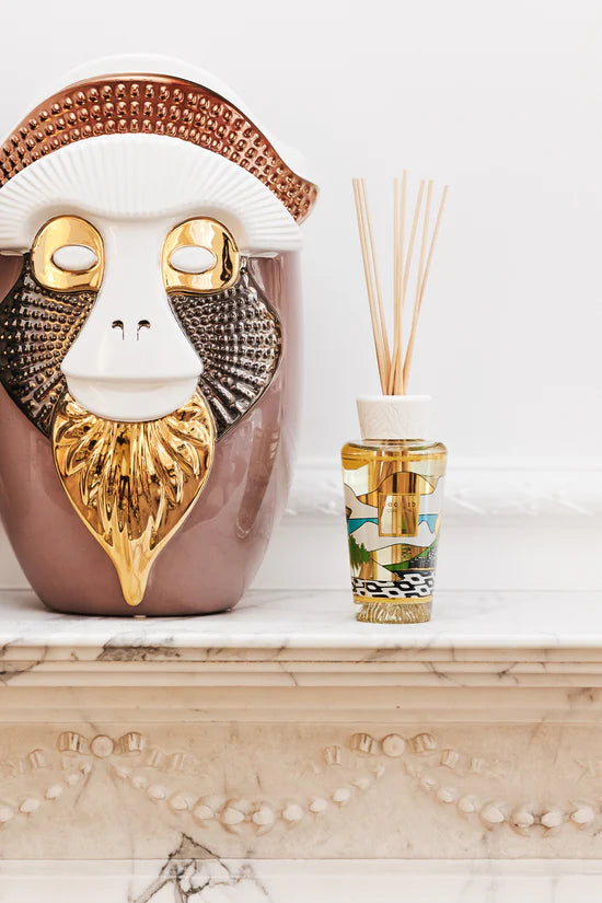 Diffuser - My First Baobab Rio