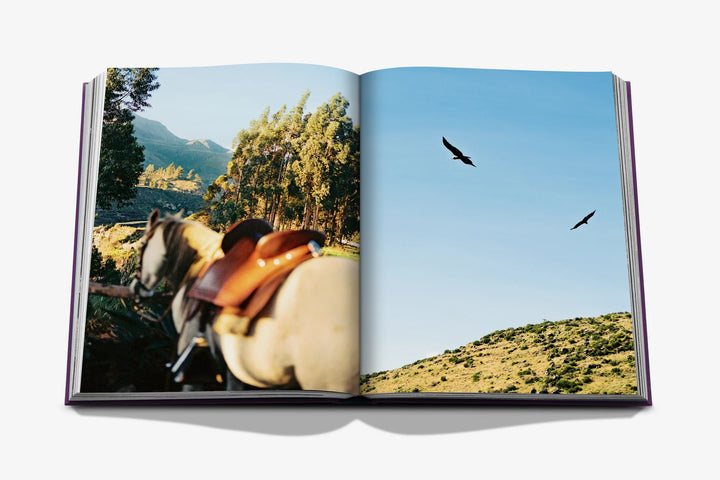 Book - Peru: An Odyssey Across a Time-Honored Land