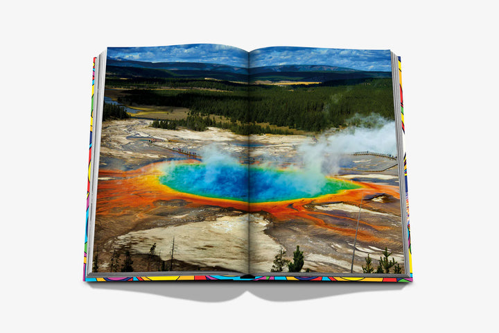 Book - Psychedelic Now