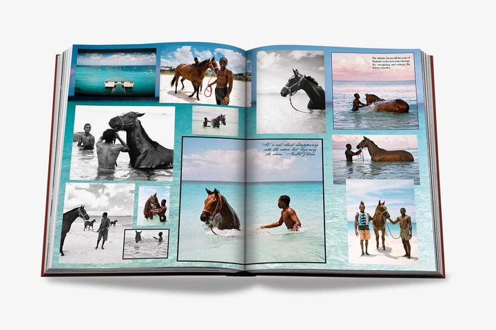 Book -  Polo Heritage