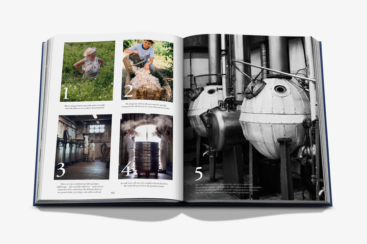 Book - Robertet: From Seed to Scent