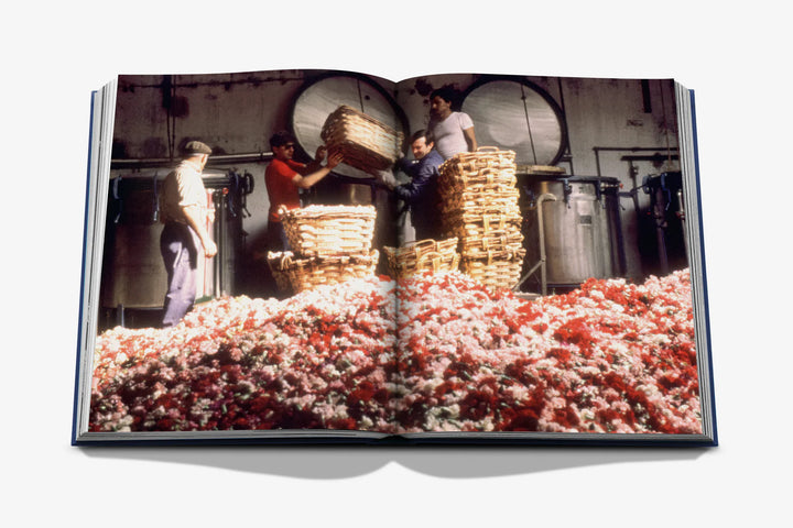 Book - Robertet: From Seed to Scent