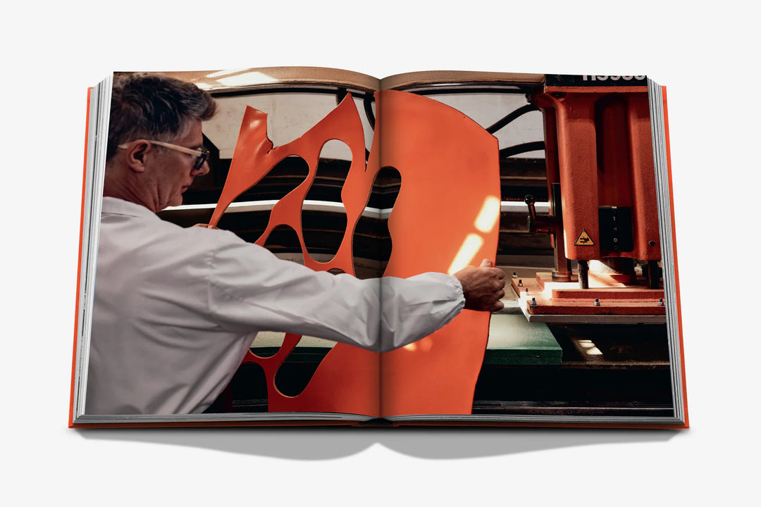 Book - Santoni Meraviglia