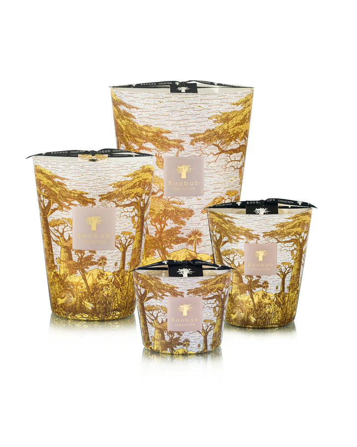 Candle - Sacred Trees Bounkani