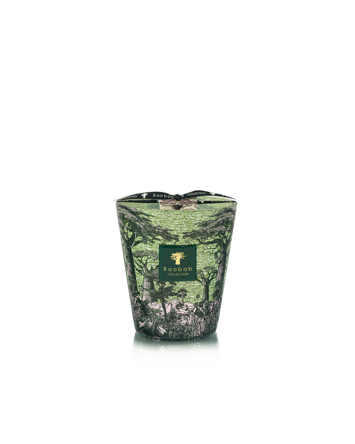Candle - Sacred Trees Touba