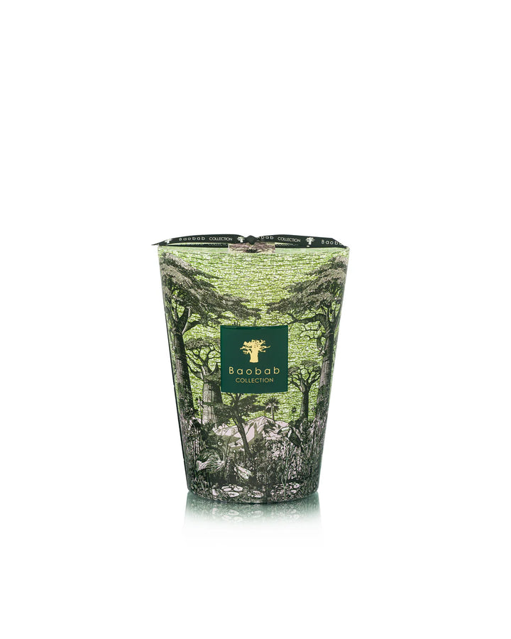 Candle - Sacred Trees Touba