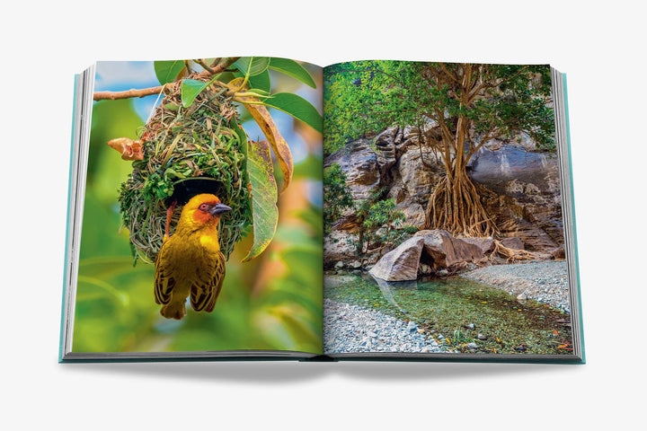 Book - Saudi Arabia: Red Sea, The Saudi Coast