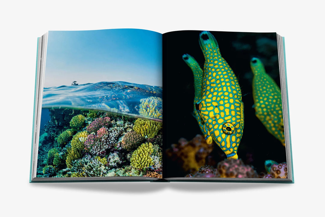 Book - Saudi Arabia: Red Sea, The Saudi Coast