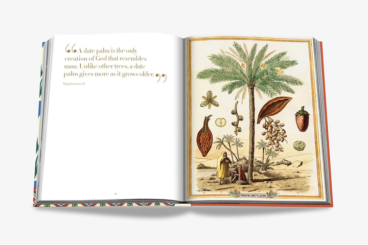 Book - Saudi Dates: A Portrait Of The Sacred Fruit