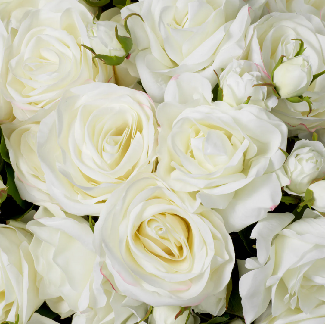 Rose Stem - Evelyn Collection - Oliva White - 53cm