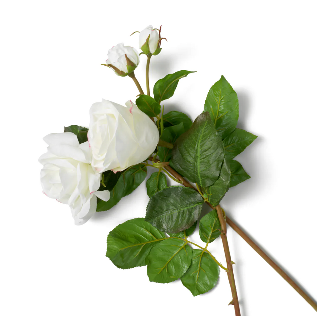 Rose Stem - Evelyn Collection - Oliva White - 53cm