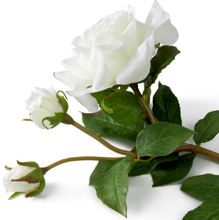 Rose Stem - Evelyn Collection - Oliva White - 53cm