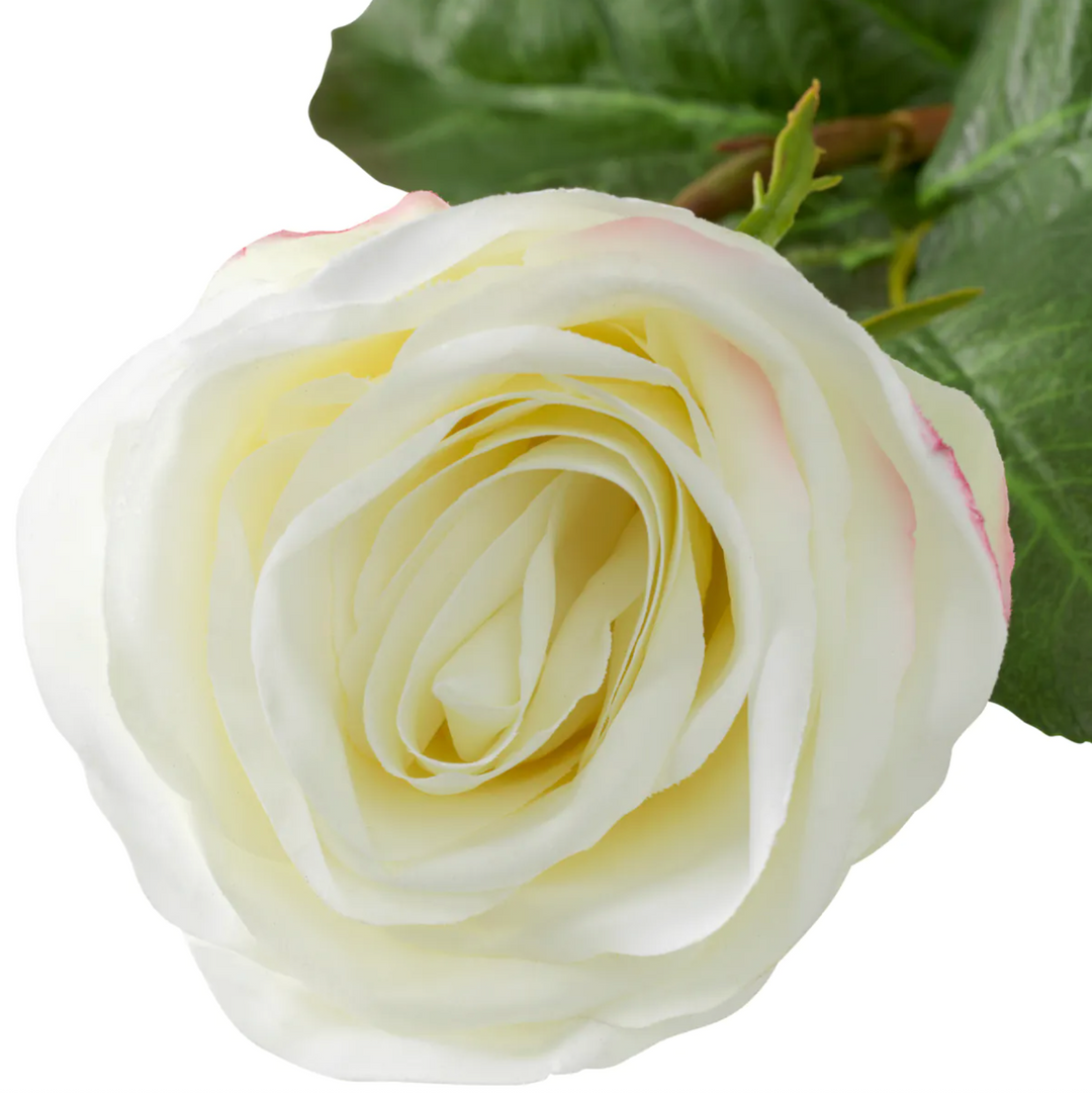 Rose Stem - Evelyn Collection - Oliva White - 53cm
