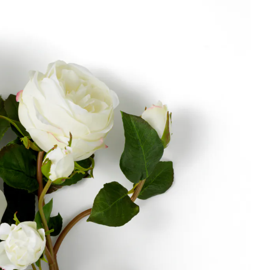 Rose Stem - Evelyn Collection - Niva White - 54cm