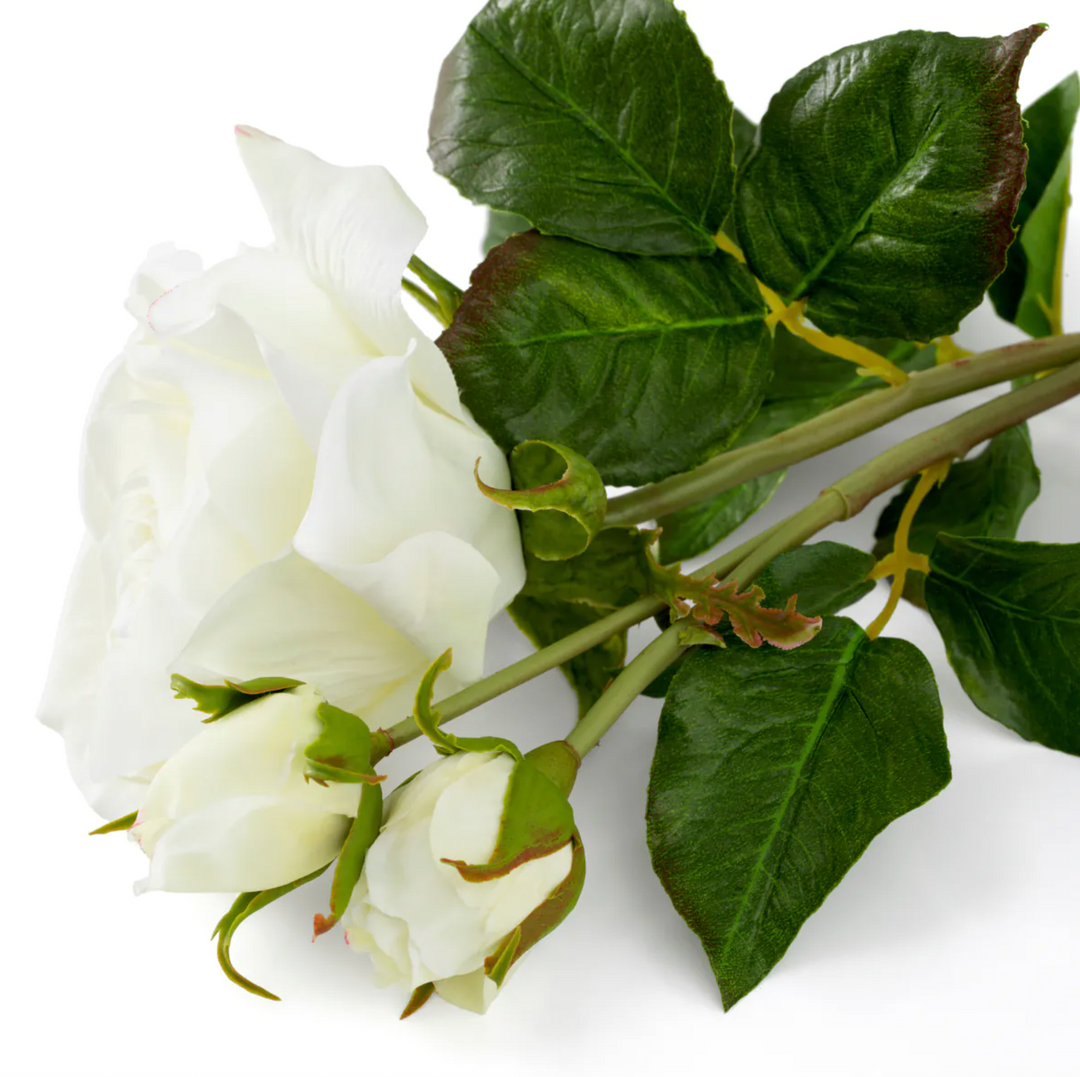 Rose Stem - Evelyn Collection - Dali White - 51cm