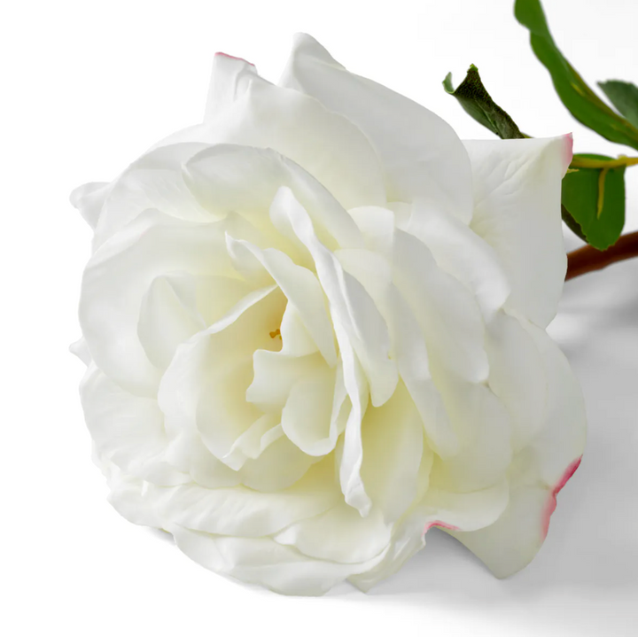 Rose Stem - Evelyn Collection - Dali White - 51cm