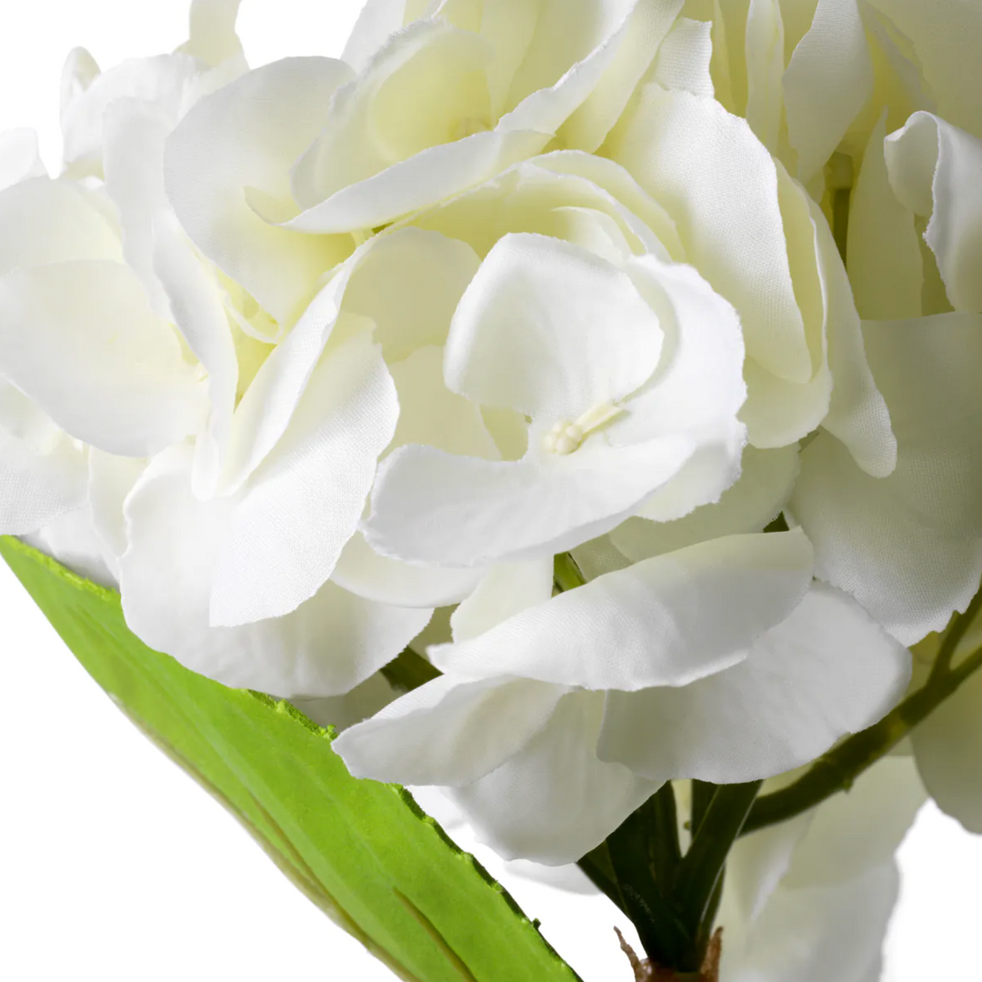 Hydrangea Stem - Evelyn Collection - Liora White - 70cm