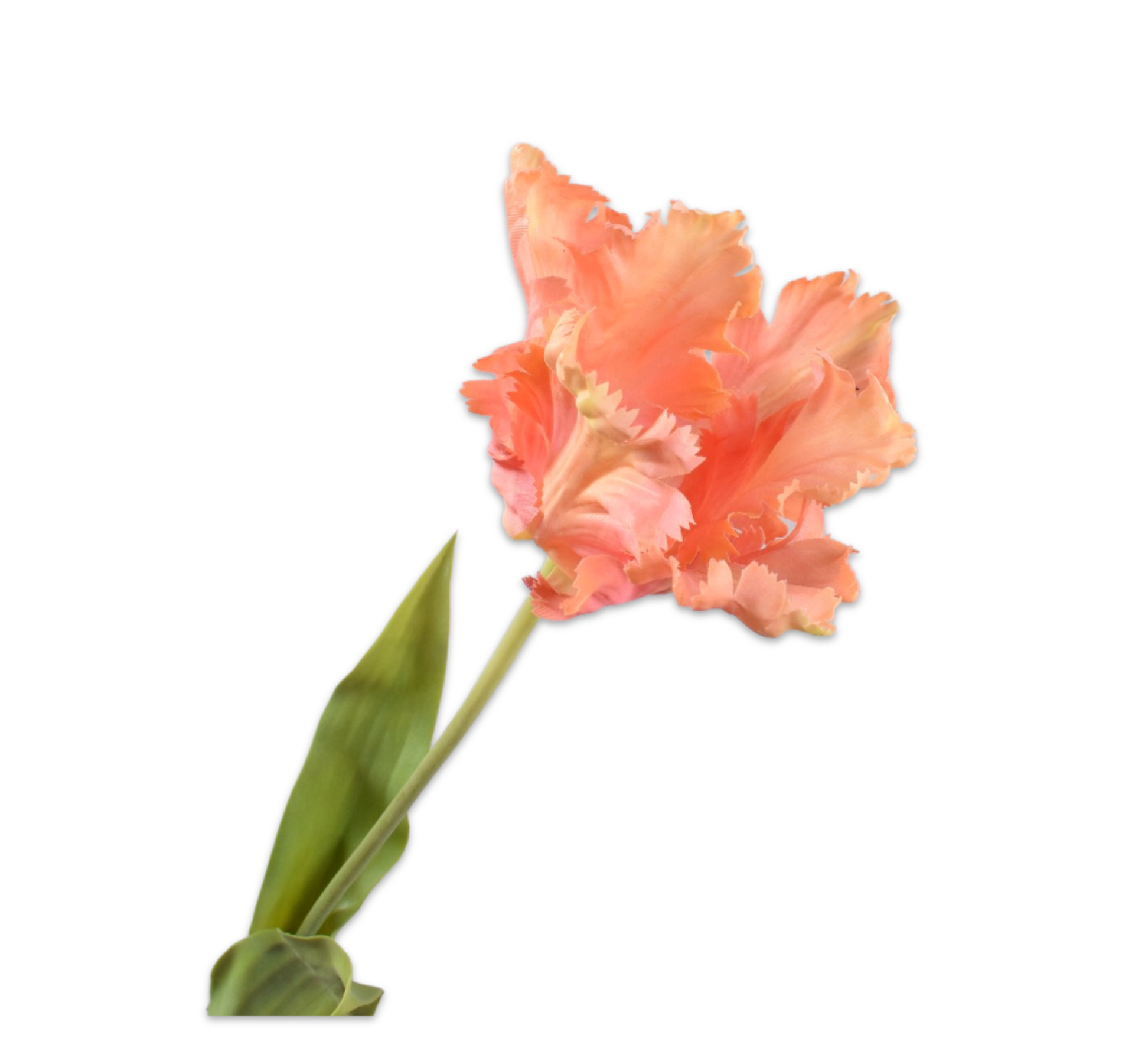 FLOWERS & VASES