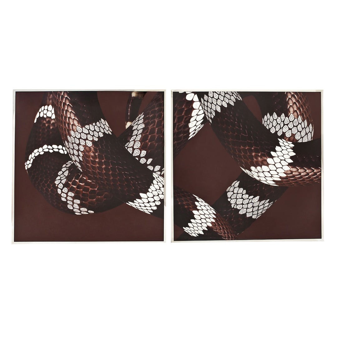 Art - Serpenti