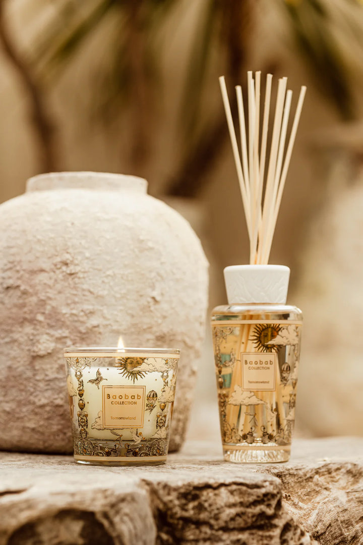 Gift Box Baobab - Tomorrowland