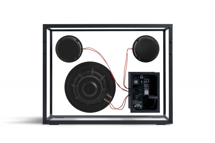 Transparent Speaker - Red Wires