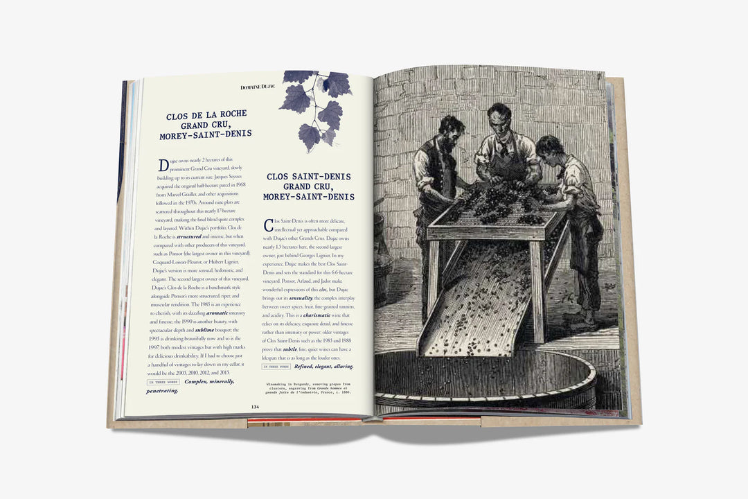 Book - The 100 Burgundy: Exceptional Wines to Build a Dream Cellar