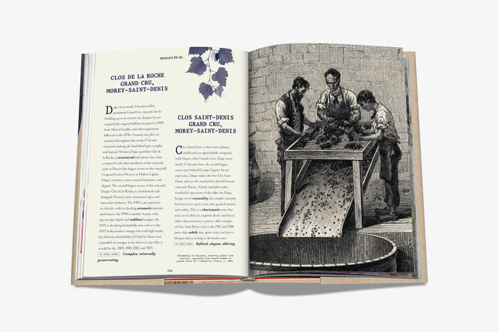 Book - The 100 Burgundy: Exceptional Wines to Build a Dream Cellar