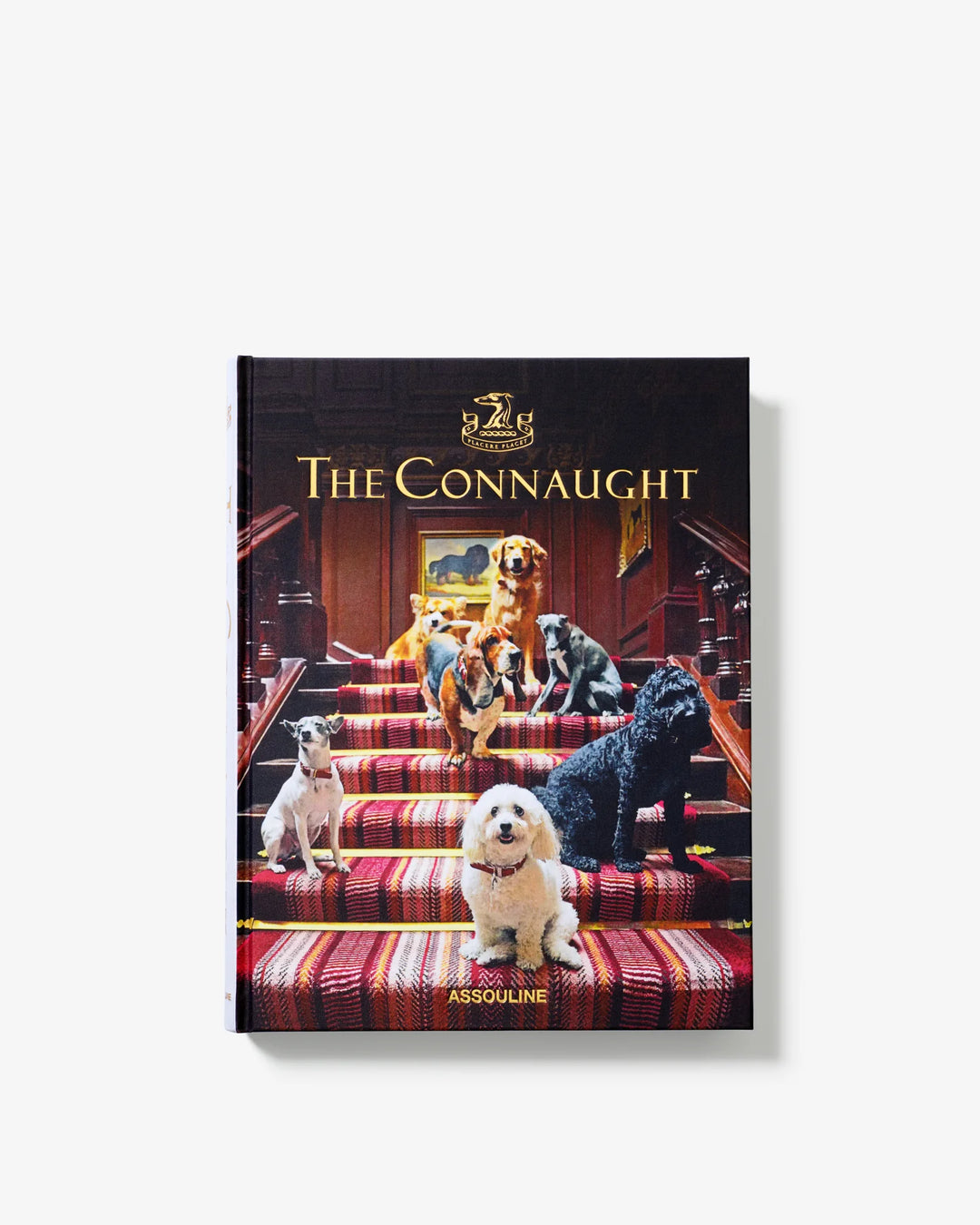 Book - The Connaught