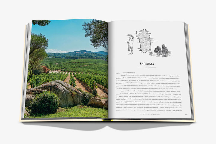 Book - Wine & Travel Mediterranean Islands
