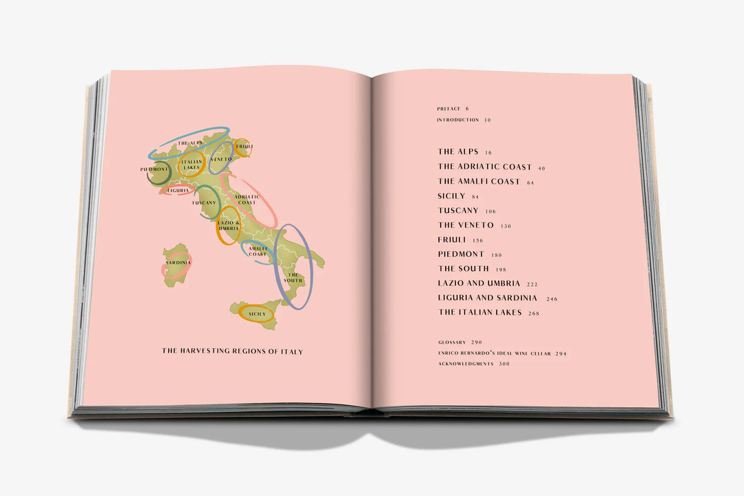 Book - Wine & Travel Italy