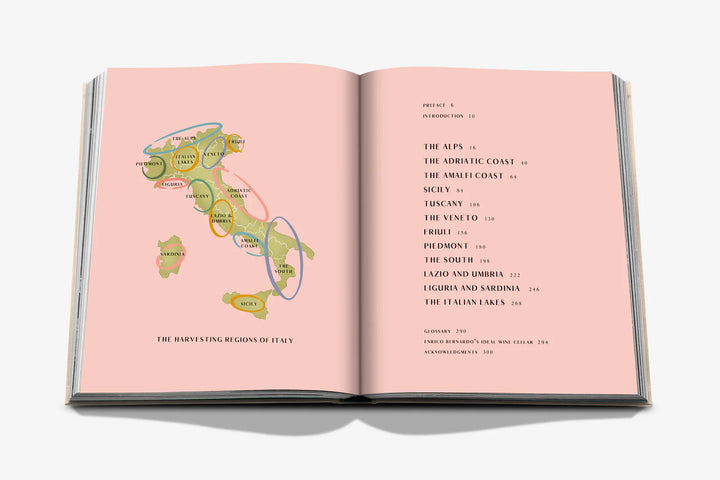 Book - Wine & Travel Italy