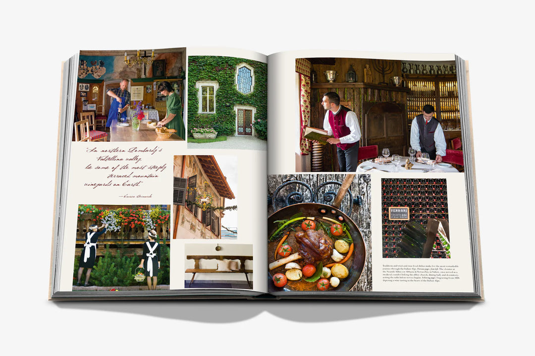 Book - Wine & Travel Italy